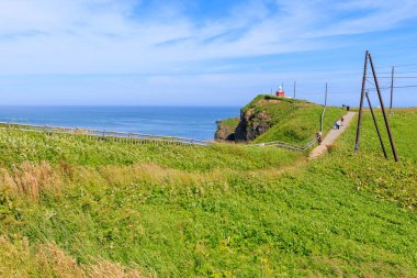 kiritappu pelerini yazın hokkaido
