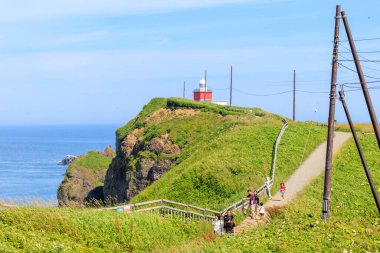 kiritappu pelerini yazın hokkaido