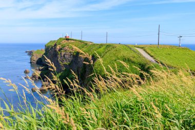 kiritappu pelerini yazın hokkaido
