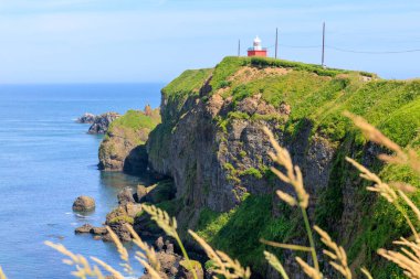 kiritappu pelerini yazın hokkaido