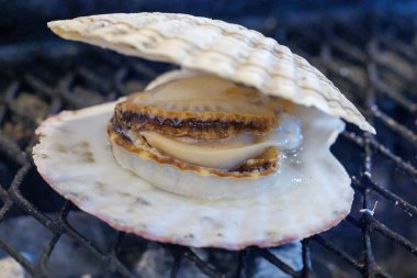 Japonya 'da nefis açık deniz tarağı 