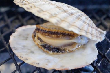 Japonya 'da nefis açık deniz tarağı 