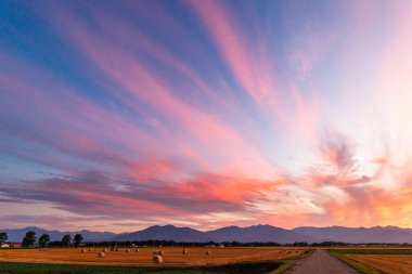 Güzel gün batımı ve buğday tarlası