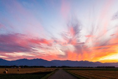 Güzel gün batımı ve buğday tarlası