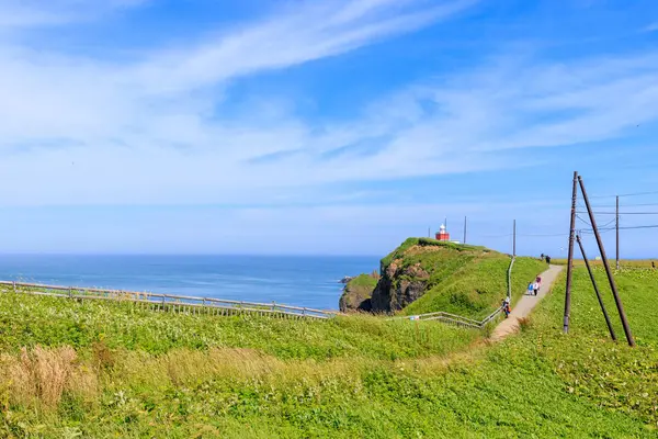 kiritappu pelerini yazın hokkaido