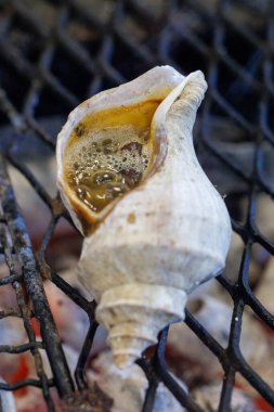 Japonya 'da mangal kömürü.