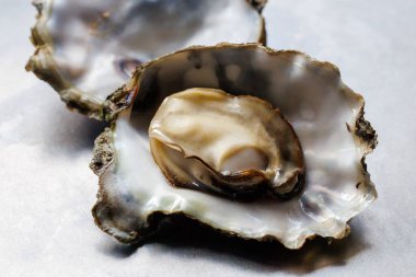 Kabuklarında istiridye pişirdiler.