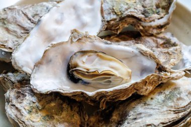 Kabuklarında istiridye pişirdiler.