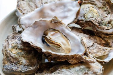 Kabuklarında istiridye pişirdiler.