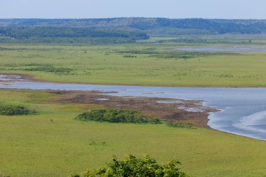 hamanaka hokkaido 'daki kiritappu sulak alanları