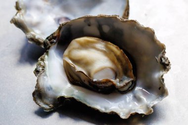 Kabuklarında istiridye pişirdiler.