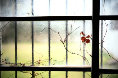 Sado adasındaki eski pencere