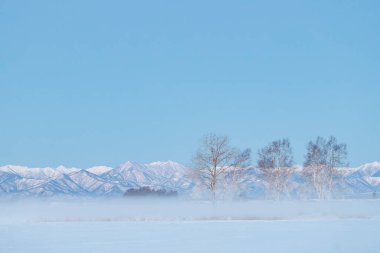 Hokkaido 'da soğuk sis ve dağ sıraları