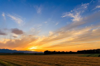 Hokkaido 'da günbatımı ve alan