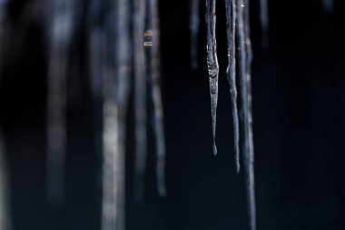 beautiful icicle in winter hokkaido