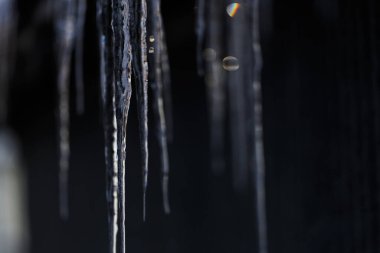 beautiful icicle in winter hokkaido