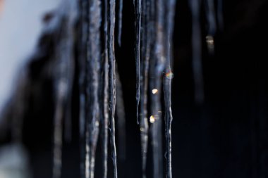 beautiful icicle in winter hokkaido