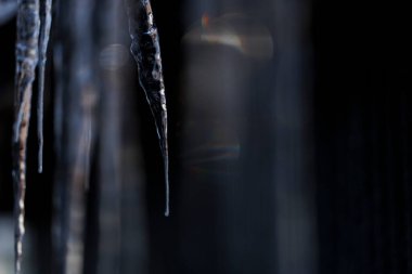 beautiful icicle in winter hokkaido