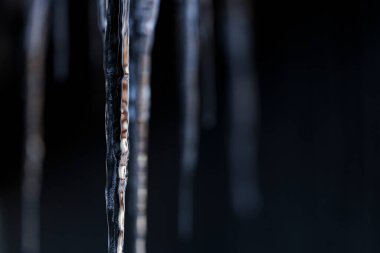 beautiful icicle in winter hokkaido