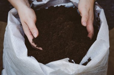 Bir çanta dolusu siyah, zengin toprak. Yüksek kaliteli fotoğraf.