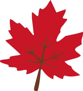 Akçaağaç yaprağı sonbahar ikonu vektörü izole tasarımı