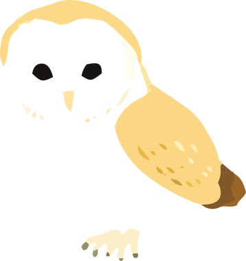 Sarı kanatlı baykuş. vektör resmi.