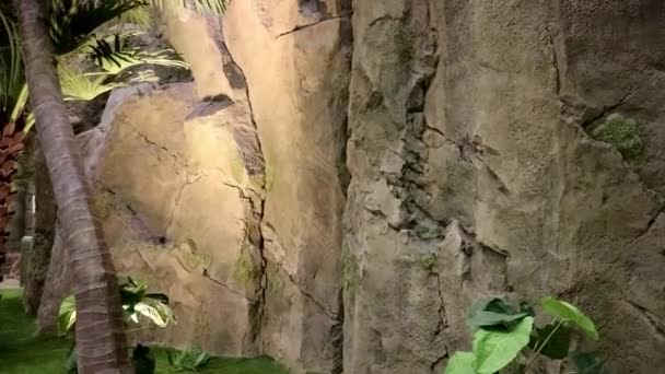 Dinding Kuno Taman Dengan Telapak Tangan — Stok Video