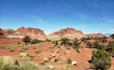Utah 'taki Zion Ulusal Parkı' nın güzel manzarası.