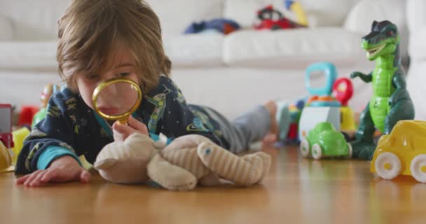 Niedlich Vier Jahre Alt Junge Mit Lupe — Stockvideo