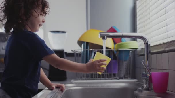 小孩子在现代化厨房的水槽里玩水玩得很开心 给杯子里灌满了水 — 图库视频影像