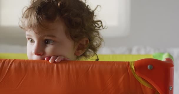 Copil Curios Păr Ondulat Aruncă Privire Peste Marginea Unui Stilou — Videoclip de stoc
