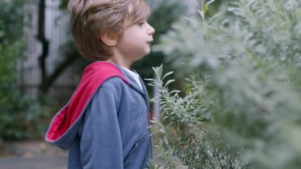 Băiat Păr Blond Stă Afară Uitându Atenție Flori Plante Într — Videoclip de stoc