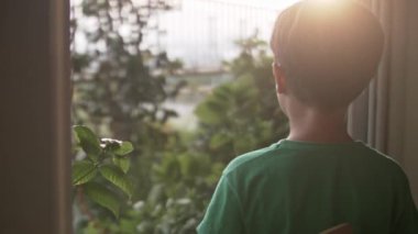 Genç bir çocuk pencereden dikkatlice dışarı bakarken arkadan çekiliyor, sakin bir manzarayı izlerken bir anlık derin düşüncelere dalıyor..
