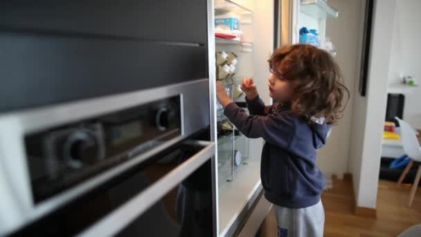 Curious Child Wavy Hair Standing Tiptoe Reaching Open Refrigerator Brightly — Stock Video