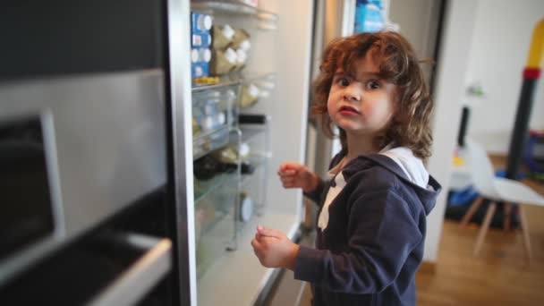 白髪の好奇心旺盛な子供が先端に立って明るく照らされたキッチンセッティングでオープン冷蔵庫に到達 — ストック動画