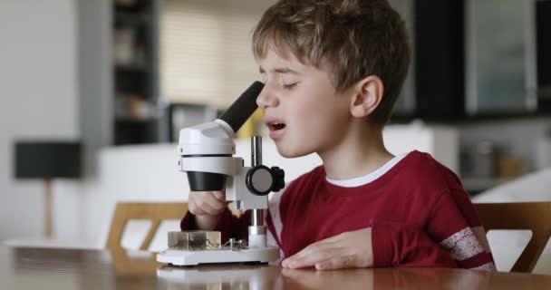 一个有注意力集中表情的小男孩通过显微镜在灯光明亮的客厅里看了看 暗示要学习和探索一番 — 图库视频影像
