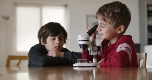 Δύο Περίεργα Αγόρια Παρατηρούν Μια Διαφάνεια Κάτω Από Ένα Μικροσκόπιο — Αρχείο Βίντεο