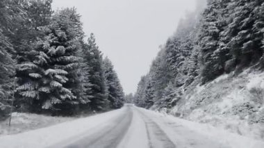 Sakin, karlı bir dağ yolu uzanır, donmuş çam ağaçlarıyla kaplı gri bir kış gökyüzünün altında..