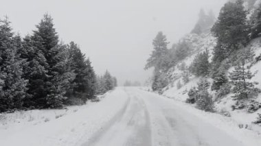 Sakin, karlı bir dağ yolu uzanır, donmuş çam ağaçlarıyla kaplı gri bir kış gökyüzünün altında..