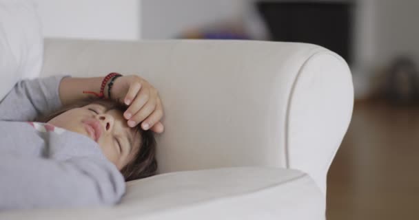 Peaceful Young Boy Naps Comfortably Couch Draped — Stock Video