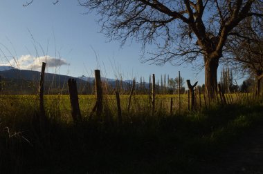 Doğanın güzel manzarası