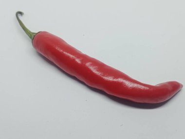 Beyaz zemin üzerinde kırmızı biber (Cabe merah) izole