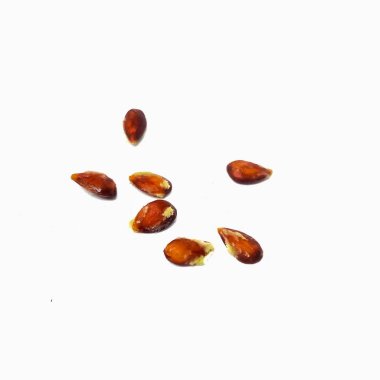 Kavrulmuş kestanenin yakın görüntüsü. yiyecek konsepti.