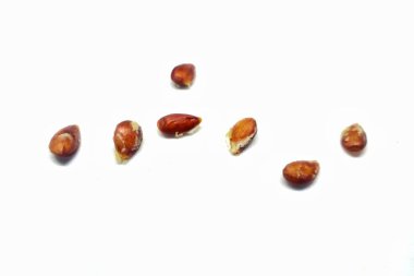 beyaz zemin üzerine kurutulmuş tarihleri yakın çekim