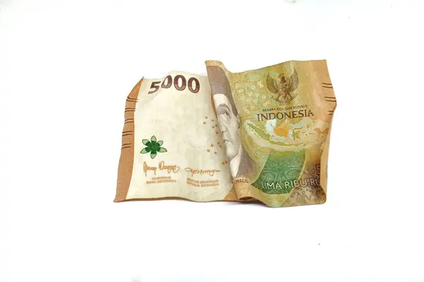 Beyaz arka planda Hindistan banknotu