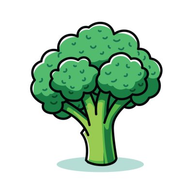 Taze Yeşil Brokoli Çizgi Filmi Çizim Vektörü