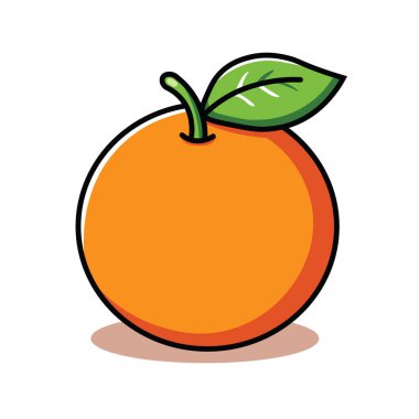 Taze Portakal Meyvesi Çizim Vektörü