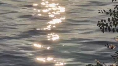 Arka plan bulanık. Gölde gün batımı. Akşamüstü gökyüzü beyaz bulutlarla.