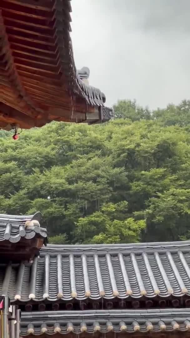 한국의 지붕을 — 비디오