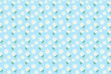 Çiçek baskısı, duvar kağıdı, arkaplan, tatlı yaz düzeni, doğa, bahçe, kadın giysileri, kumaş, tekstil, gömlek, giysi, bahar, not, kitap kapağı, tasarım için pastel mavi arka plan üzerindeki papatya çiçeklerinin vektör çizimi